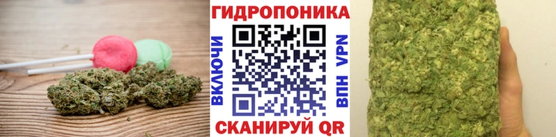 Canna-Cookies конопля  Купить где  Кимовск 
