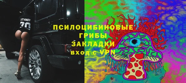 МДПВ Заволжье
