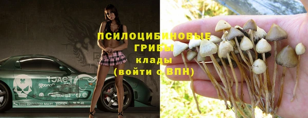 МДПВ Заволжье