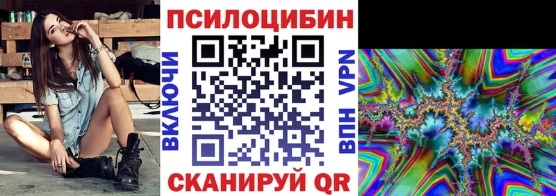 Купить  Кимовск  Псилоцибиновые грибы Psilocybe 