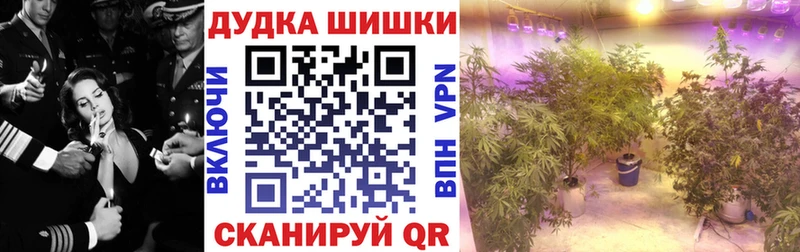 Купить  Кимовск  Шишки марихуана LSD WEED 
